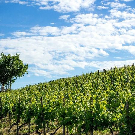 Апартаменти Weingut Knauer Деттельбах Екстер'єр фото