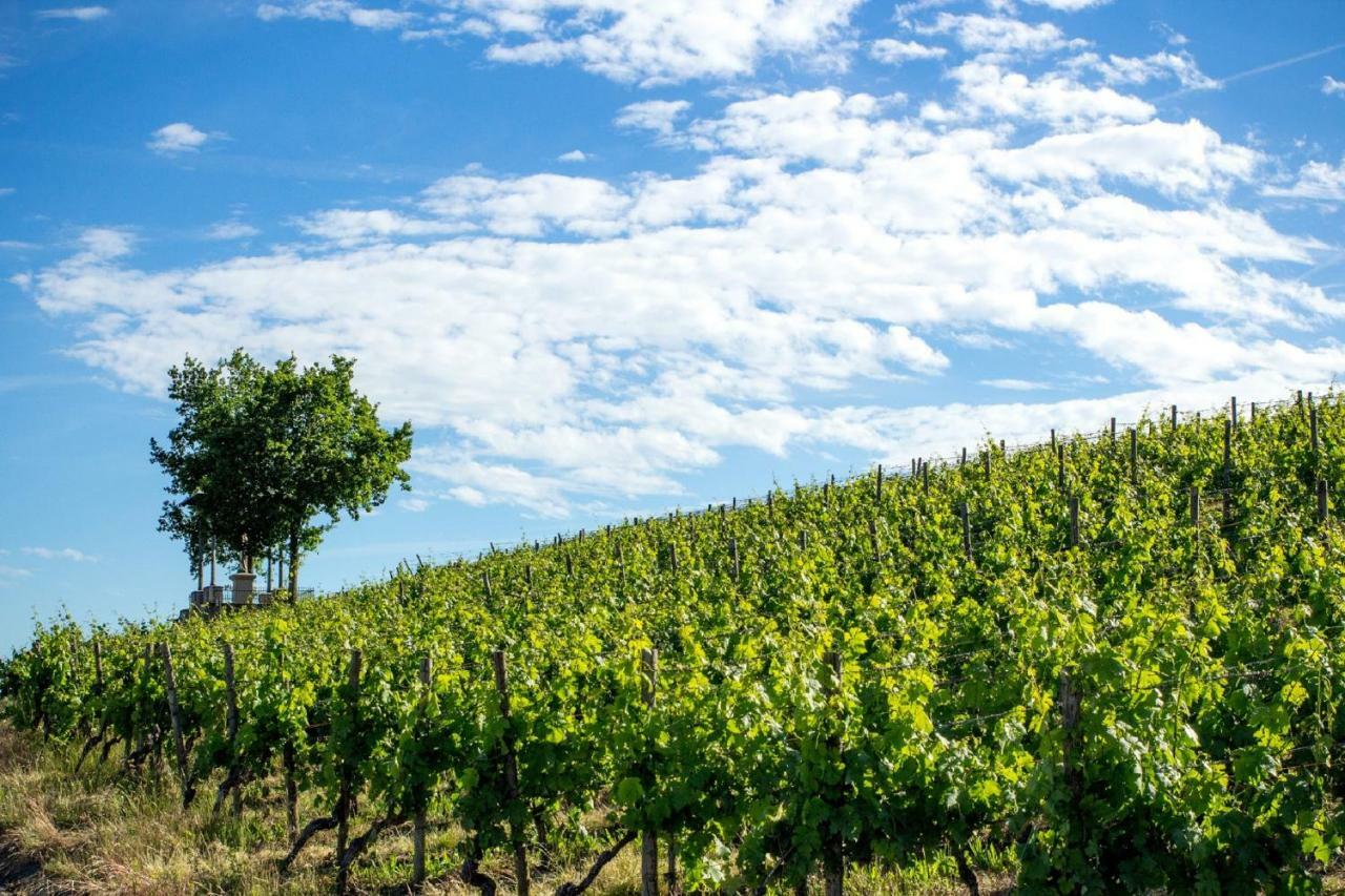 Апартаменти Weingut Knauer Деттельбах Екстер'єр фото